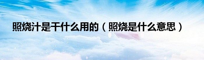 照燒汁是干什么用的（照燒是什么意思）