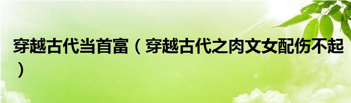 穿越古代當首富（穿越古代之肉文女配傷不起）