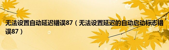 無法設(shè)置自動(dòng)延遲錯(cuò)誤87（無法設(shè)置延遲的自動(dòng)啟動(dòng)標(biāo)志錯(cuò)誤87）