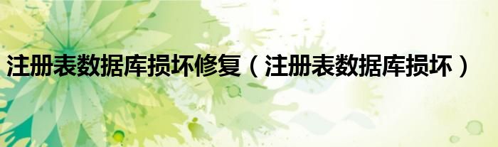 注冊(cè)表數(shù)據(jù)庫(kù)損壞修復(fù)（注冊(cè)表數(shù)據(jù)庫(kù)損壞）