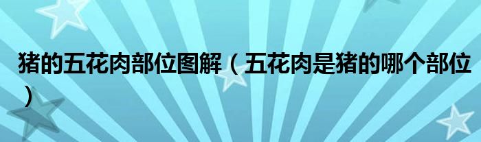 豬的五花肉部位圖解（五花肉是豬的哪個部位）