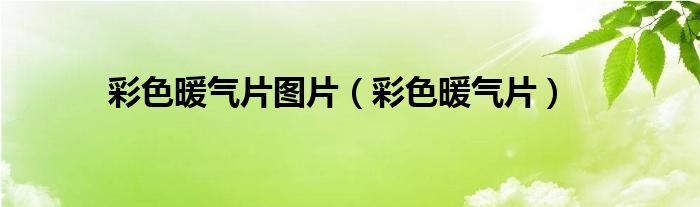 彩色暖氣片圖片（彩色暖氣片）