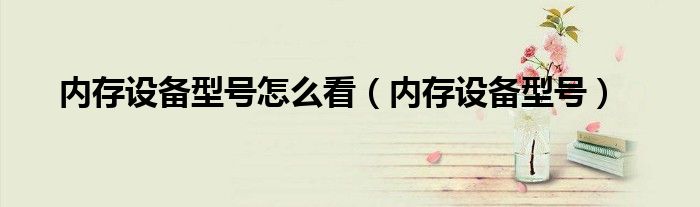內(nèi)存設(shè)備型號(hào)怎么看（內(nèi)存設(shè)備型號(hào)）