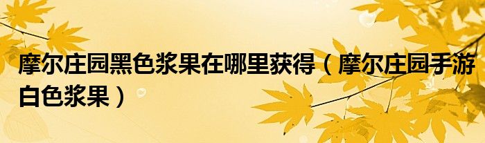 摩爾莊園黑色漿果在哪里獲得（摩爾莊園手游白色漿果）