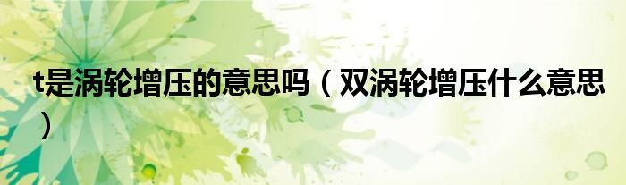 t是渦輪增壓的意思嗎（雙渦輪增壓什么意思）