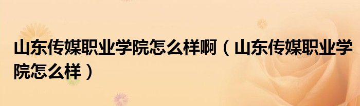 山東傳媒職業(yè)學(xué)院怎么樣啊（山東傳媒職業(yè)學(xué)院怎么樣）