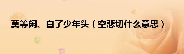 莫等閑、白了少年頭（空悲切什么意思）
