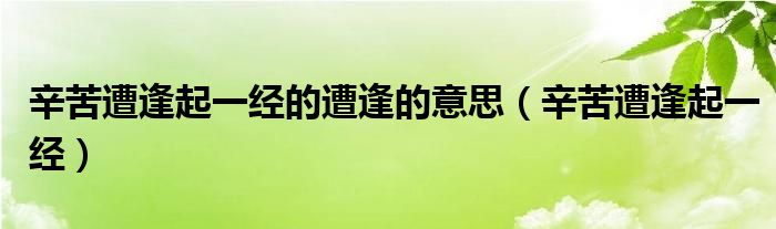 辛苦遭逢起一經(jīng)的遭逢的意思（辛苦遭逢起一經(jīng)）