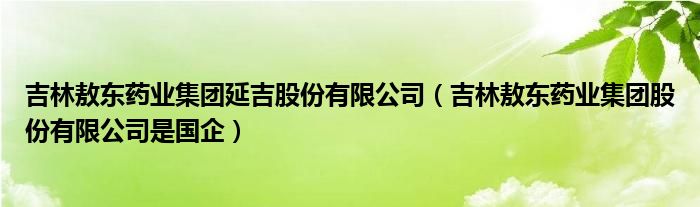 吉林敖東藥業(yè)集團(tuán)延吉股份有限公司（吉林敖東藥業(yè)集團(tuán)股份有限公司是國(guó)企）
