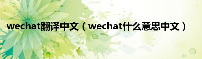 wechat翻譯中文（wechat什么意思中文）