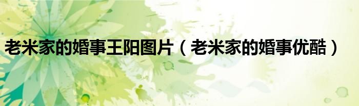 老米家的婚事王陽圖片（老米家的婚事優(yōu)酷）