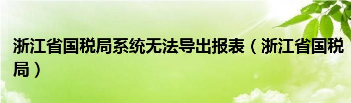 浙江省國稅局系統(tǒng)無法導出報表（浙江省國稅局）