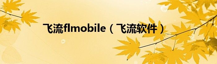 飛流flmobile（飛流軟件）