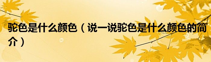 駝色是什么顏色（說一說駝色是什么顏色的簡介）