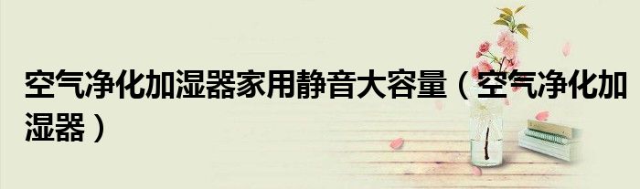 空氣凈化加濕器家用靜音大容量（空氣凈化加濕器）