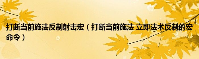 打斷當前施法反制射擊宏（打斷當前施法 立即法術(shù)反制的宏命令）