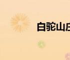 白駝山莊少莊主（白駝山莊）