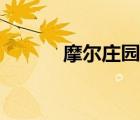 摩爾莊園莉蓮（摩爾莊園依蓮）