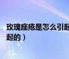玫瑰痤瘡是怎么引起的（玫瑰痤瘡的原因 玫瑰痤瘡是什么引起的）