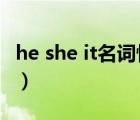 he she it名詞性物主代詞（it名詞性物主代詞）