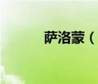 薩洛蒙（說一說薩洛蒙的簡(jiǎn)介）