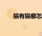 貓有貓癬怎么辦（得了貓癬怎么治）