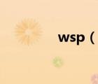 wsp（說一說wsp的簡介）