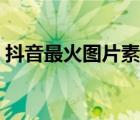 抖音最火圖片素材下載軟件（抖音最火圖片）