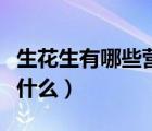 生花生有哪些營養(yǎng)價值（生花生的營養(yǎng)價值是什么）