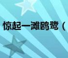 驚起一灘鷗鷺（說一說驚起一灘鷗鷺的簡介）