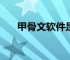 甲骨文軟件是做什么的（甲骨文軟件）
