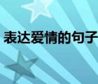 表達愛情的句子唯美短句（表達愛情的句子）