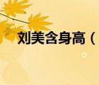 劉美含身高（說一說劉美含身高的簡介）
