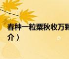 春種一粒粟秋收萬顆子（說一說春種一粒粟秋收萬顆子的簡(jiǎn)介）