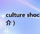 culture shock（說一說culture shock的簡介）