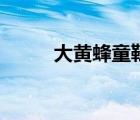 大黃蜂童鞋專賣(mài)店（大黃蜂童鞋）