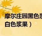 摩爾莊園黑色漿果在哪里獲得（摩爾莊園手游白色漿果）