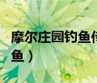 摩爾莊園釣魚傳說級魚攻略最新（摩爾莊園釣魚）