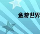 金游世界傾家蕩產(chǎn)（金游世界）