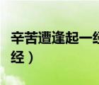 辛苦遭逢起一經的遭逢的意思（辛苦遭逢起一經）