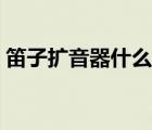笛子擴(kuò)音器什么牌子好（擴(kuò)音器什么牌子好）