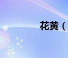 花黃（說一說花黃的簡介）