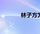 林子方為什么要走（林子方）