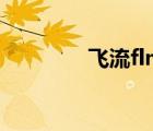 飛流flmobile（飛流軟件）