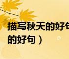 描寫(xiě)秋天的好句好段摘抄大全優(yōu)美（描寫(xiě)秋天的好句）