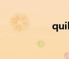 quilt怎么讀（quilt）