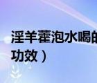淫羊藿泡水喝的功效與禁忌（淫羊藿泡水喝的功效）