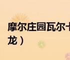 摩爾莊園瓦爾卡火龍龍蛋（摩爾莊園瓦爾卡火龍）