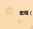 宏觀（說一說宏觀的簡介）