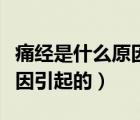 痛經(jīng)是什么原因引起的小便疼（痛經(jīng)是什么原因引起的）